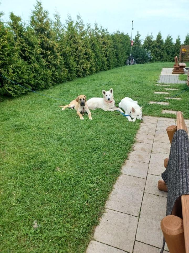 Domki Pod Brzozami Sarbinowo Exteriör bild