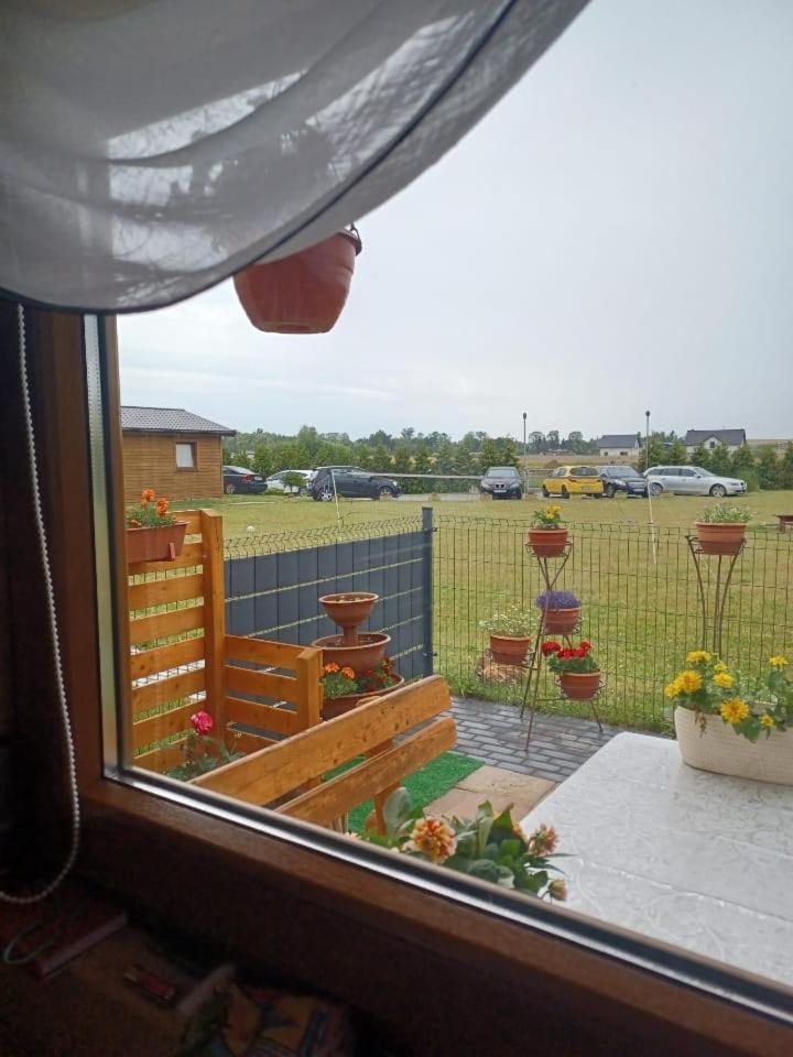 Domki Pod Brzozami Sarbinowo Exteriör bild