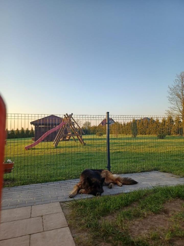 Domki Pod Brzozami Sarbinowo Exteriör bild