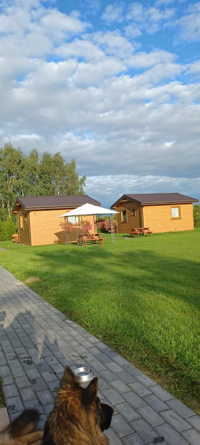 Domki Pod Brzozami Sarbinowo Exteriör bild