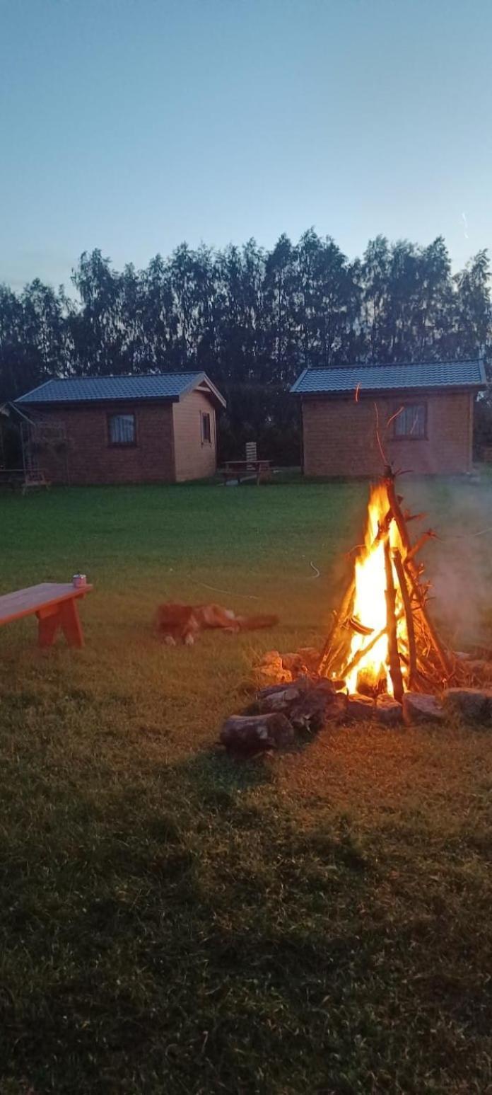 Domki Pod Brzozami Sarbinowo Exteriör bild